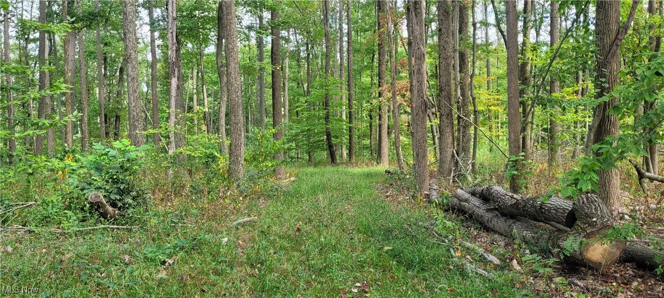 343 County Road Coshocton, OH 43812 - Photo 42 of 49 Gallery Image 42