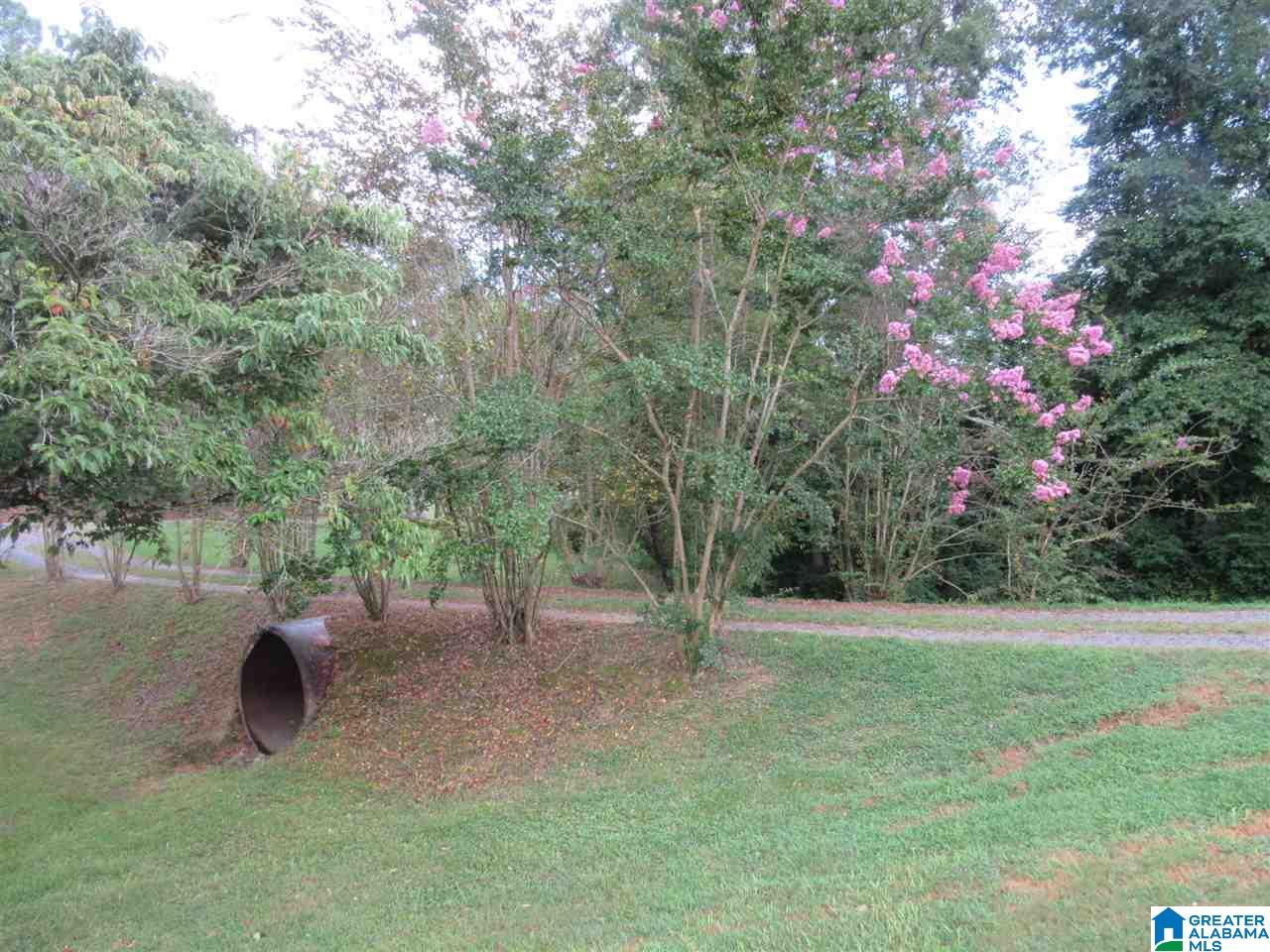 3260 Highway 27 Oneonta Al Oneonta, AL 35121 - Photo 33 of 37