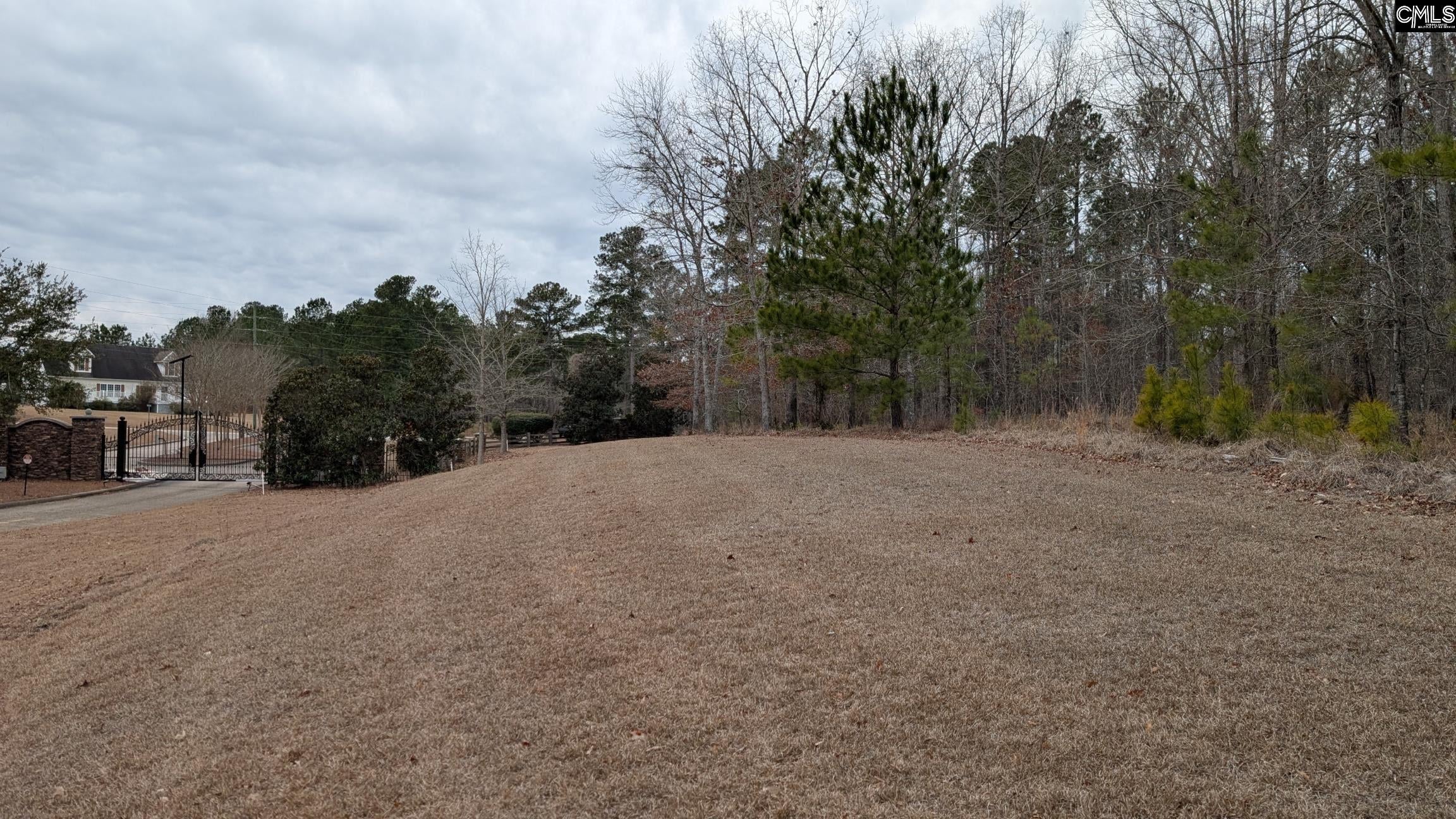 Lot 3 Retreat Way Ridgeway, SC 29130 - Photo 3 of 23 Gallery Image 3