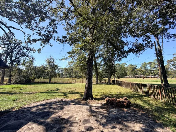 a view of a yard with a tree