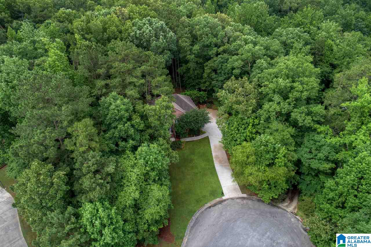 135 Brynhurst Drive Chelsea, AL 35043 - Photo 30 of 37