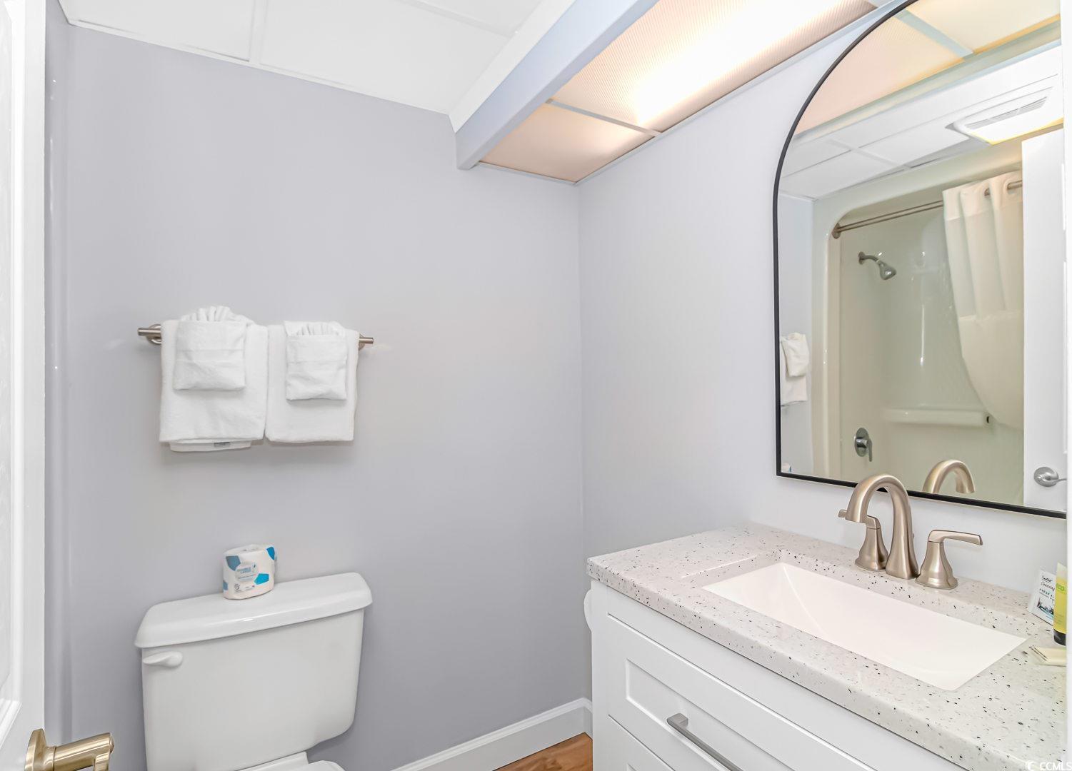 1708 North Ocean Boulevard, Unit PH1 Myrtle Beach, SC 29577 - Photo 12 of 26 Bathroom with vanity and a shower