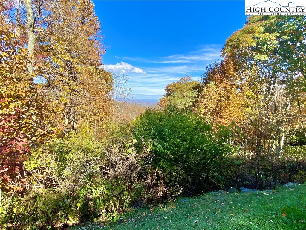 Lot 8 Boone Ridge Lane Boone, NC 28607 - Photo 2 of 11 a view of a yard