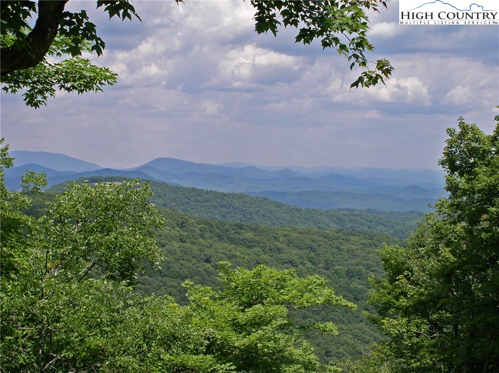 Lot 8 Boone Ridge Lane Boone, NC 28607 - Photo 4 of 11
