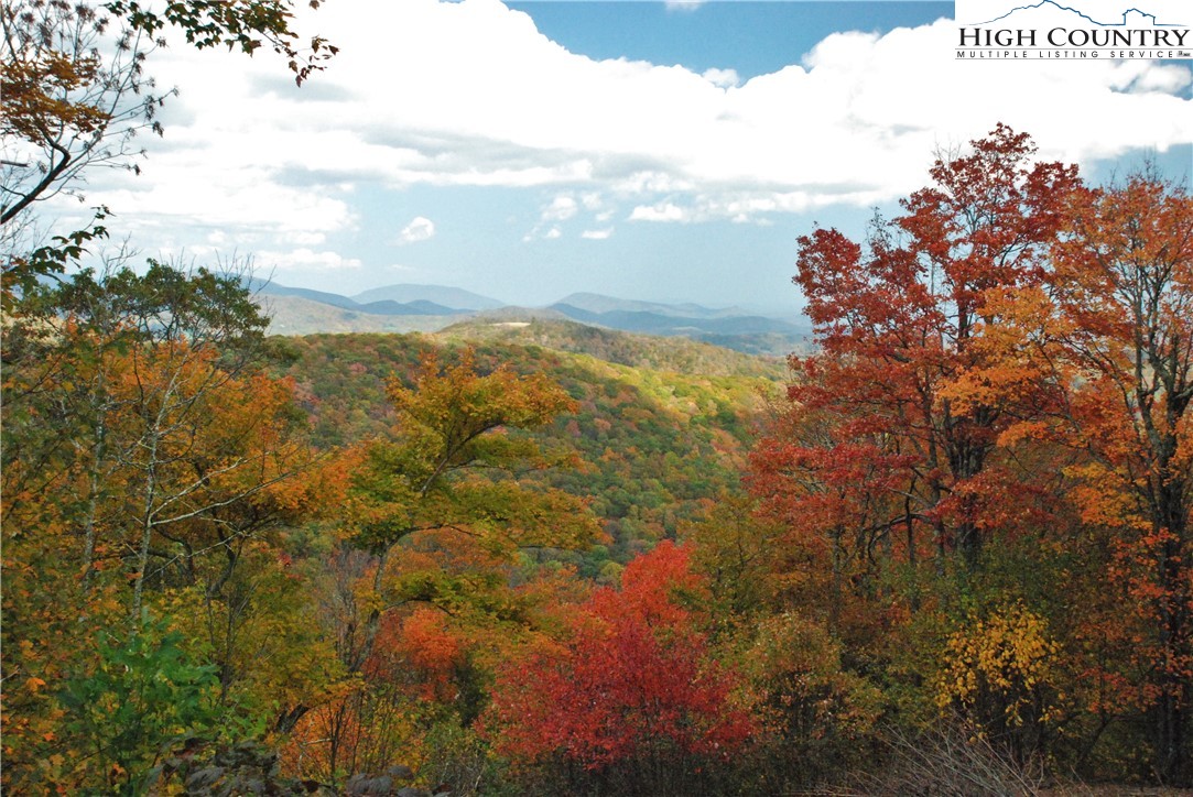 Lot 8 Boone Ridge Lane Boone, NC 28607 - Photo 5 of 11 a view of lake