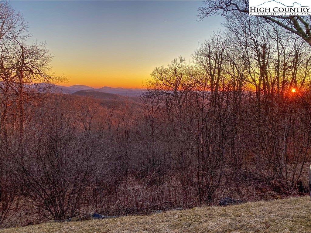 Lot 8 Boone Ridge Lane Boone, NC 28607 - Photo 6 of 11 a view of a backyard