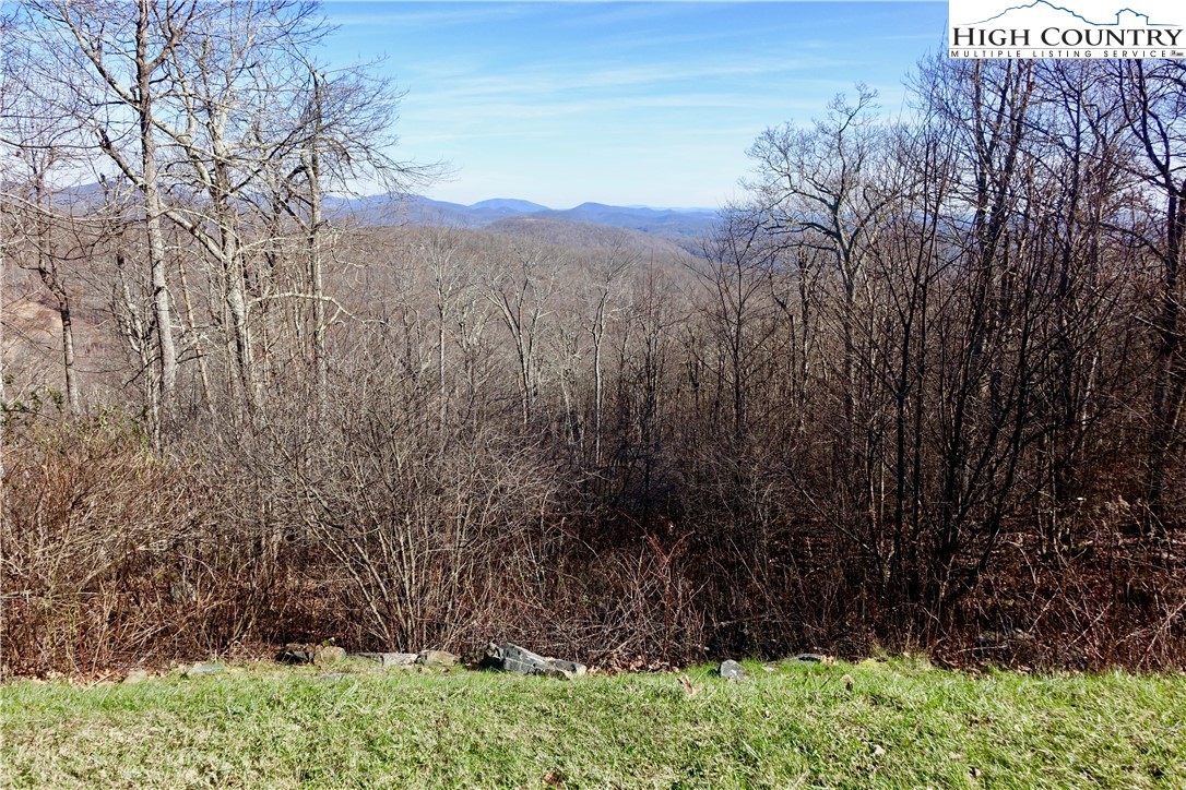 Lot 8 Boone Ridge Lane Boone, NC 28607 - Photo 8 of 11 a view of a yard with a tree