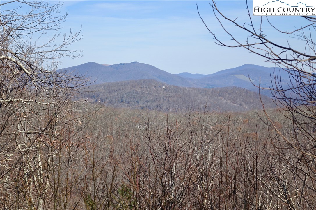 Lot 8 Boone Ridge Lane Boone, NC 28607 - Photo 10 of 11 a view of mountain with a tree in the background