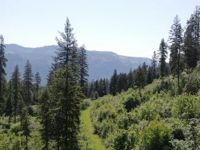 $185,000 | Lot 4 Matsen Creek Road, Kettle Falls, WA 99141