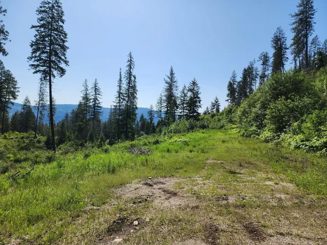 $185,000 | Lot 4 Matsen Creek Road, Kettle Falls, WA 99141