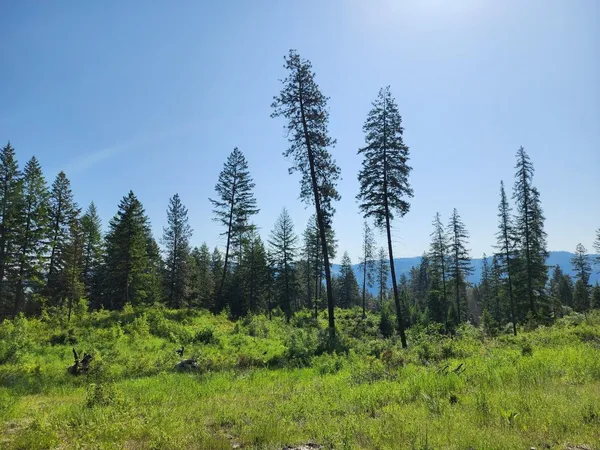 $185,000 | Lot 4 Matsen Creek Road, Kettle Falls, WA 99141