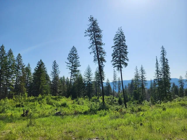 $185,000 | Lot 4 Matsen Creek Road, Kettle Falls, WA 99141