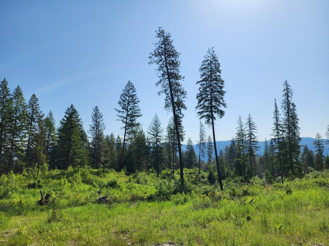 Lot 4 Matsen Creek Road Kettle Falls, WA 99141 - Photo 4 of 11