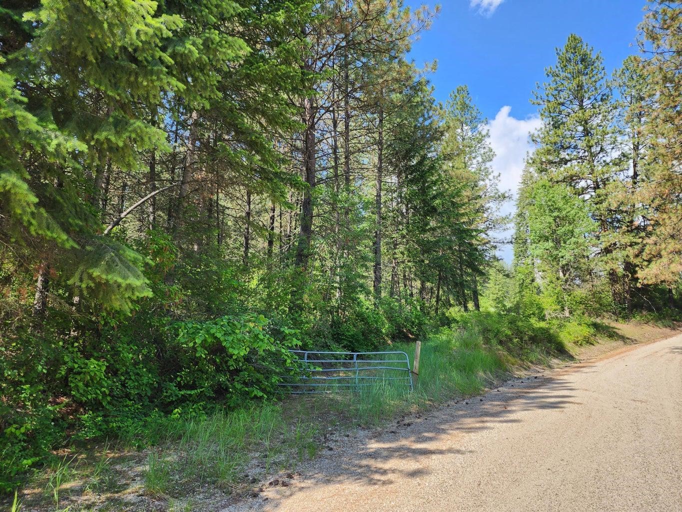 Lot 4 Matsen Creek Road Kettle Falls, WA 99141 - Photo 5 of 11