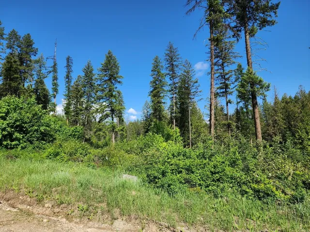 $185,000 | Lot 4 Matsen Creek Road, Kettle Falls, WA 99141