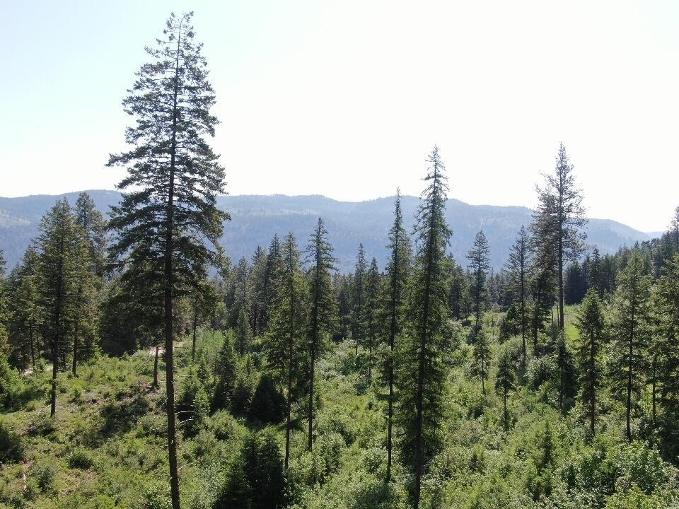 Lot 4 Matsen Creek Road Kettle Falls, WA 99141 - Photo 7 of 11