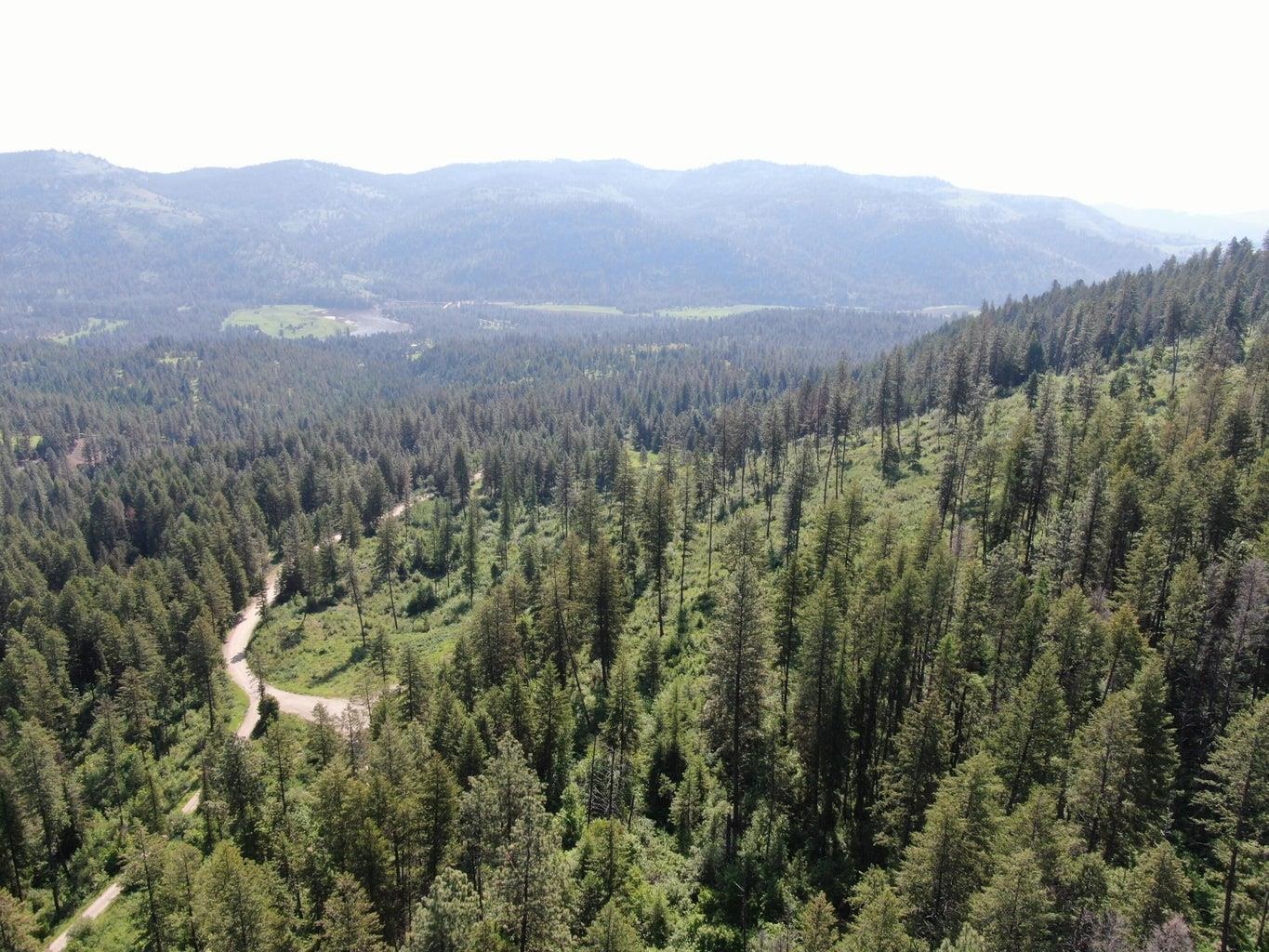 Lot 4 Matsen Creek Road Kettle Falls, WA 99141 - Photo 8 of 11