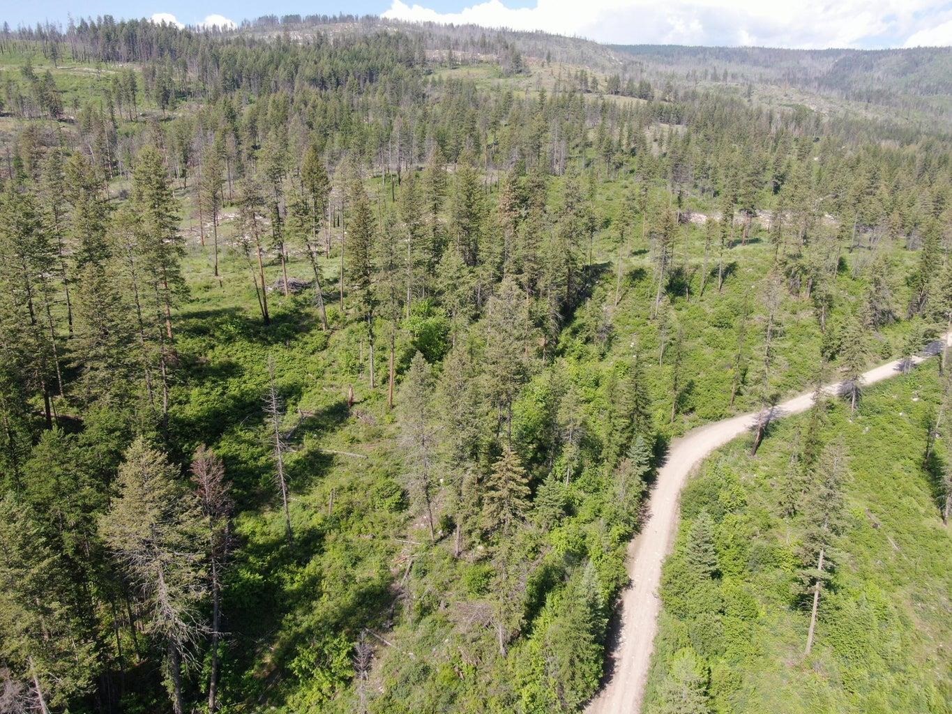 Lot 4 Matsen Creek Road Kettle Falls, WA 99141 - Photo 9 of 11
