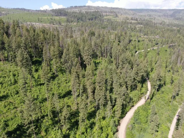 $185,000 | Lot 4 Matsen Creek Road, Kettle Falls, WA 99141