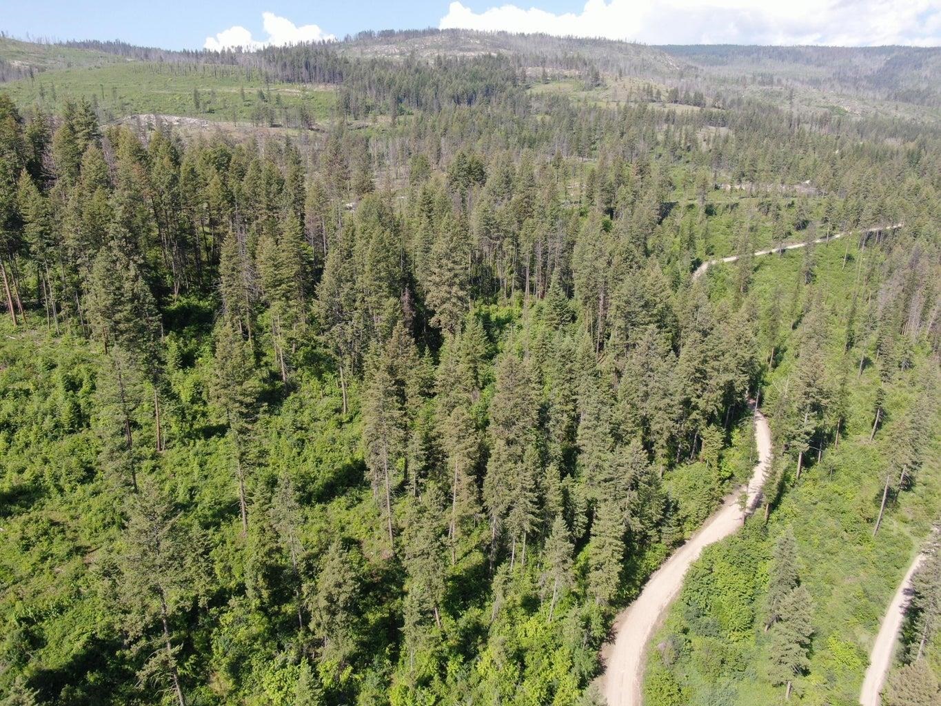 Lot 4 Matsen Creek Road Kettle Falls, WA 99141 - Photo 10 of 11