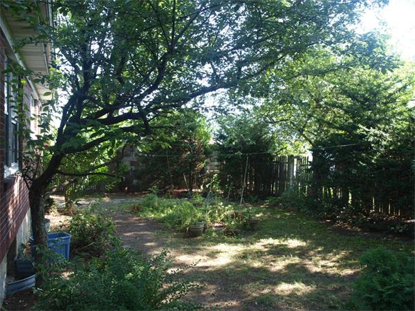 22 Arapahoe Road Newton, MA 02465 - Photo 3 of 13 a backyard of a house with lots of green space