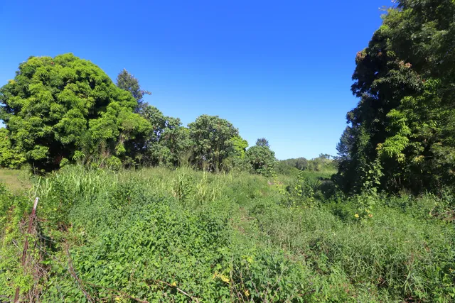 $275,000 | 5 Lot, Captain Cook, HI 96704