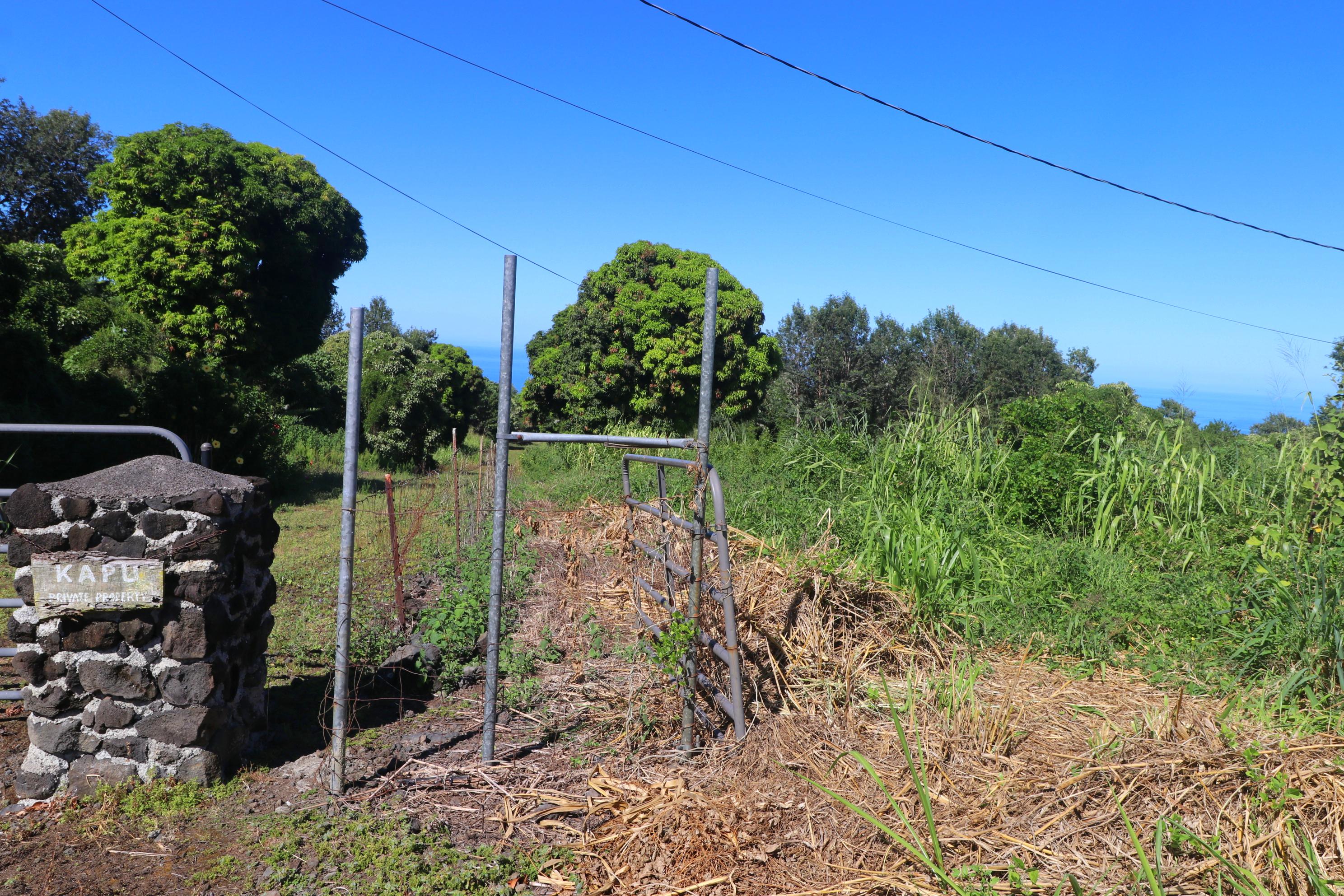 5 Lot Captain Cook, HI 96704 - Photo 12 of 14