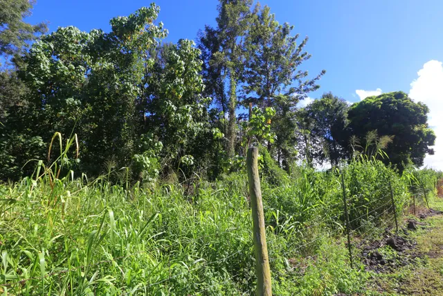 $275,000 | 5 Lot, Captain Cook, HI 96704