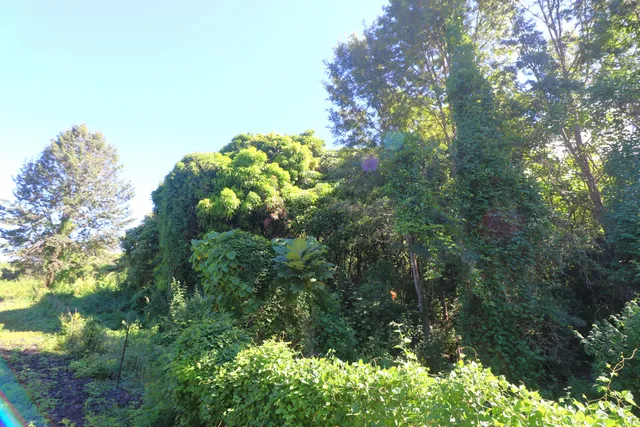 $275,000 | 5 Lot, Captain Cook, HI 96704