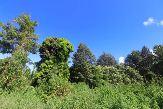 $275,000 | 5 Lot, Captain Cook, HI 96704