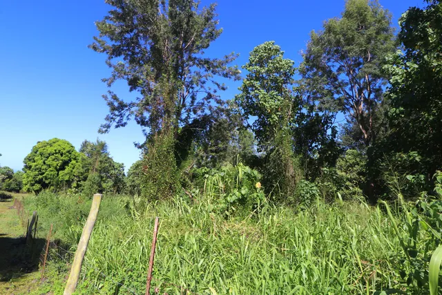 $275,000 | 5 Lot, Captain Cook, HI 96704