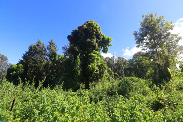 $275,000 | 5 Lot, Captain Cook, HI 96704