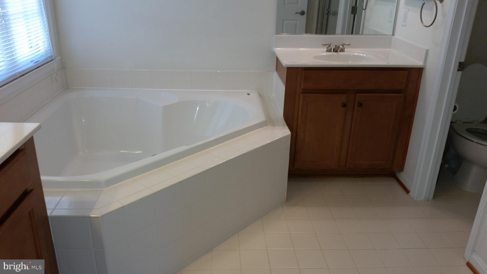 9101 Furey Road Lorton, VA 22079 - Photo 5 of 10 Primary Bathroom