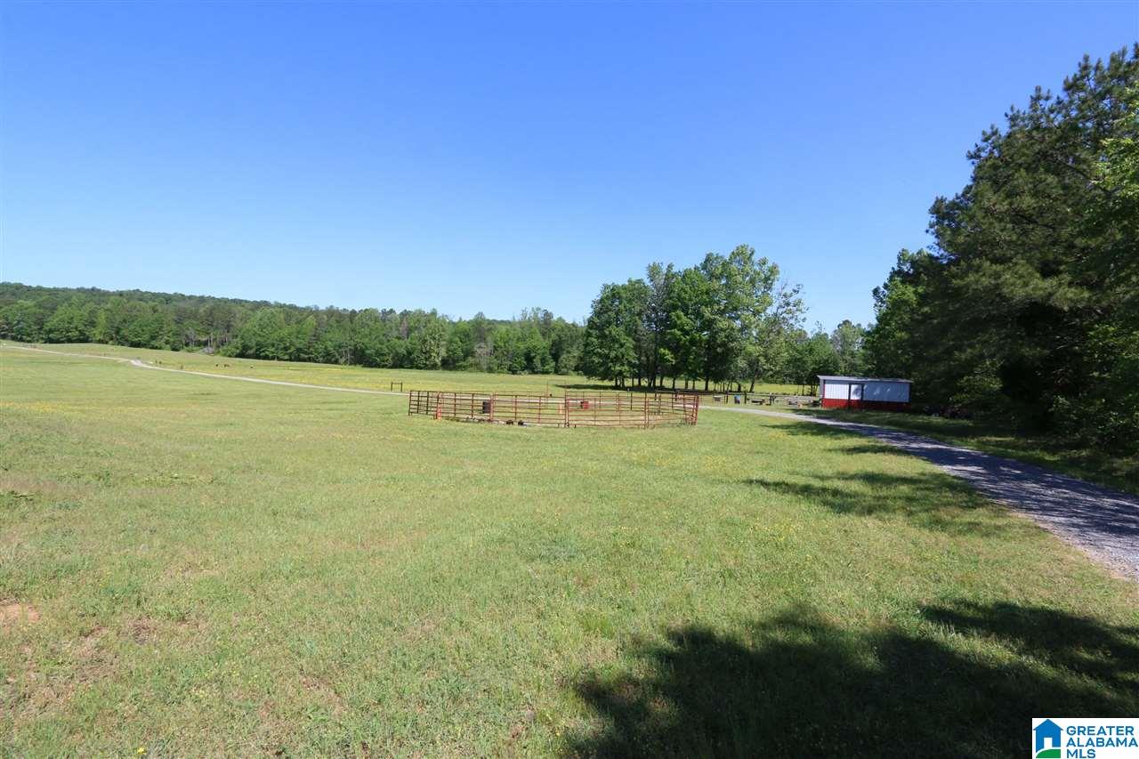 0 Pleasant Hills Road, Unit 40 Odenville, AL 35120 - Photo 8 of 48