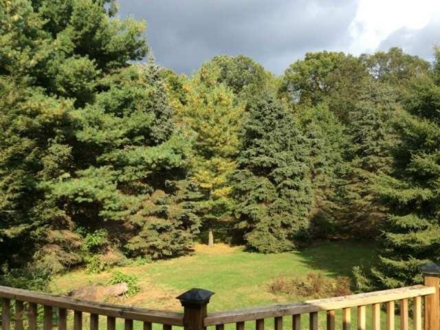 1679 Anderson Road Cassopolis, MI 49031 - Photo 34 of 36 view from deck