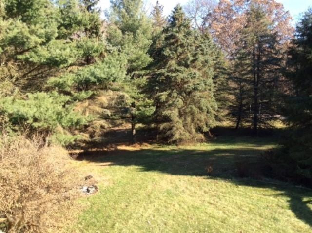 1679 Anderson Road Cassopolis, MI 49031 - Photo 35 of 36 yard