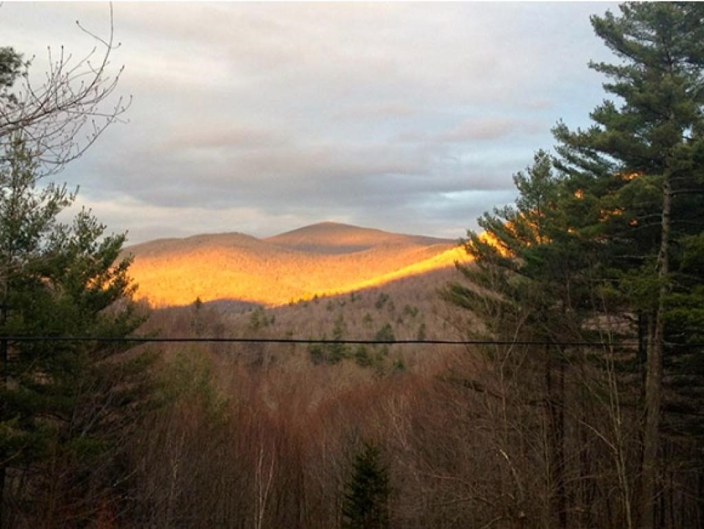 569 Tudor Road Sandgate, VT 05250 - Photo 22 of 33 Gallery Image 22