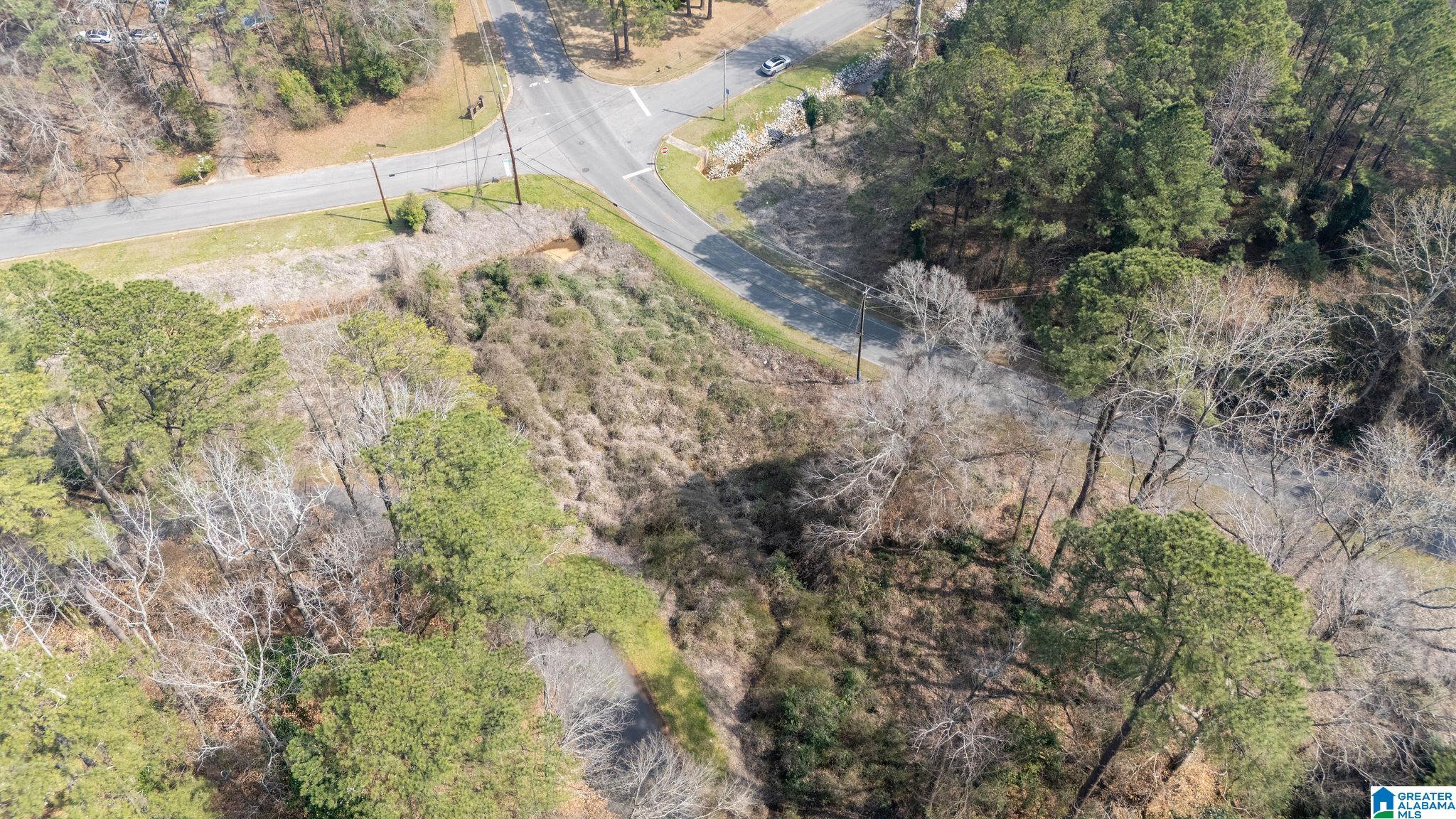 0 Woodland Road, Unit 1 Tuscaloosa, AL 35405 - Photo 11 of 16