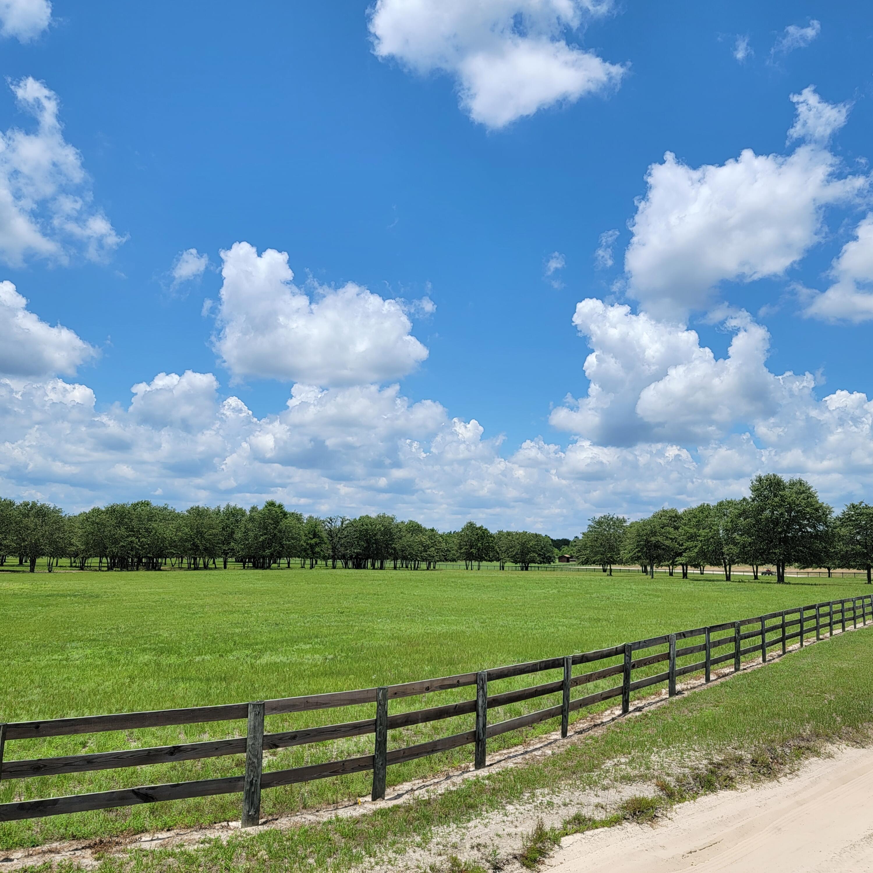 0 Riker Trail Windsor, SC 29856 - Photo 7 of 21