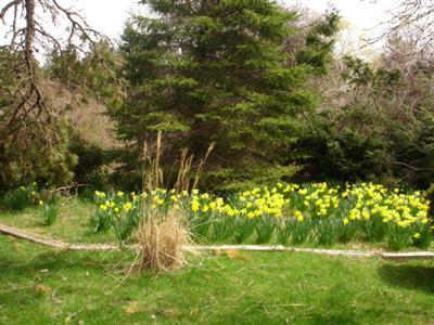 322 Old Harbor Road Chatham, MA 02633 - Photo 3 of 12 Additional Photo