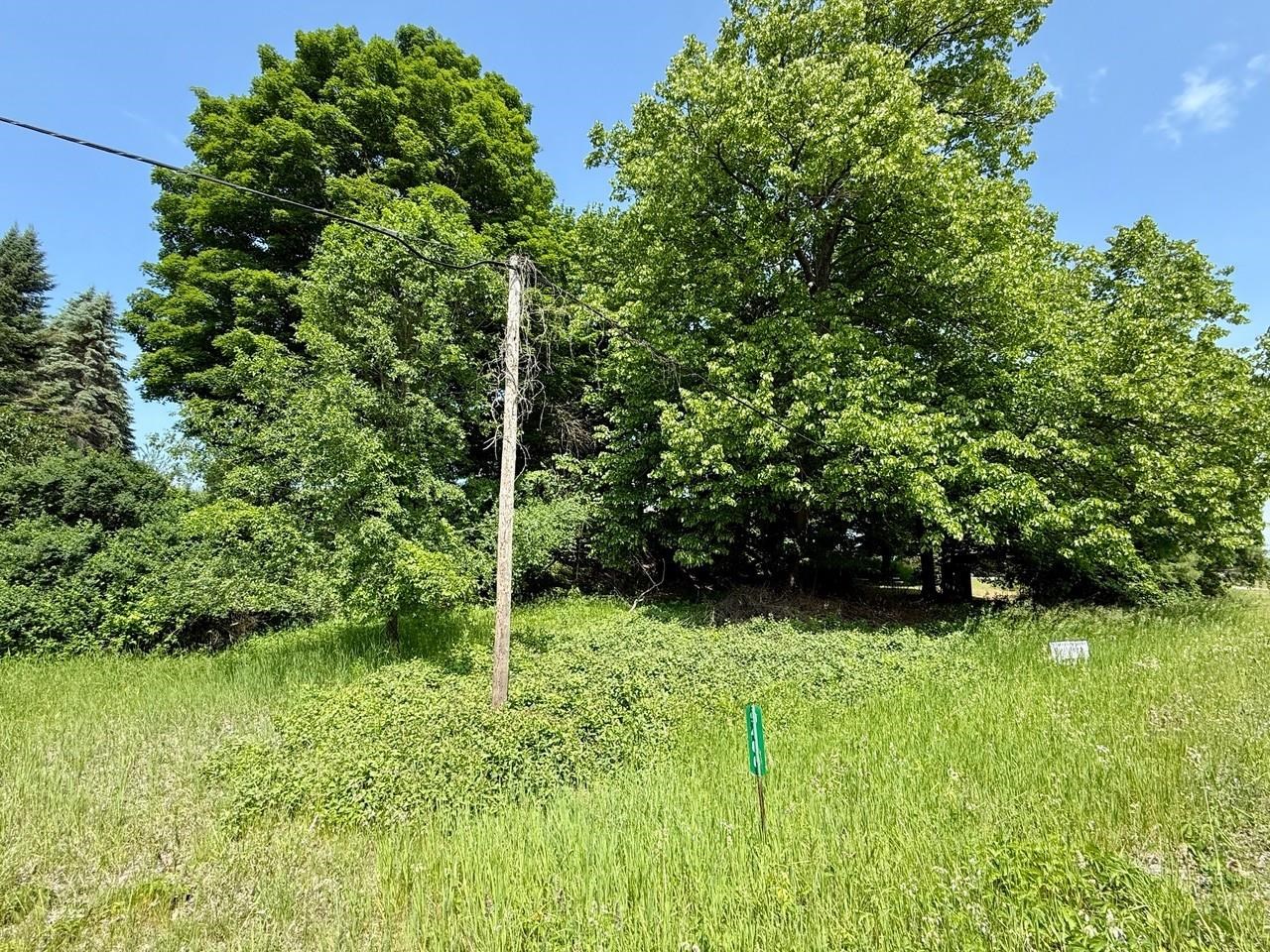 South Cedar Street Cedar, MI 49621 - Photo 5 of 8