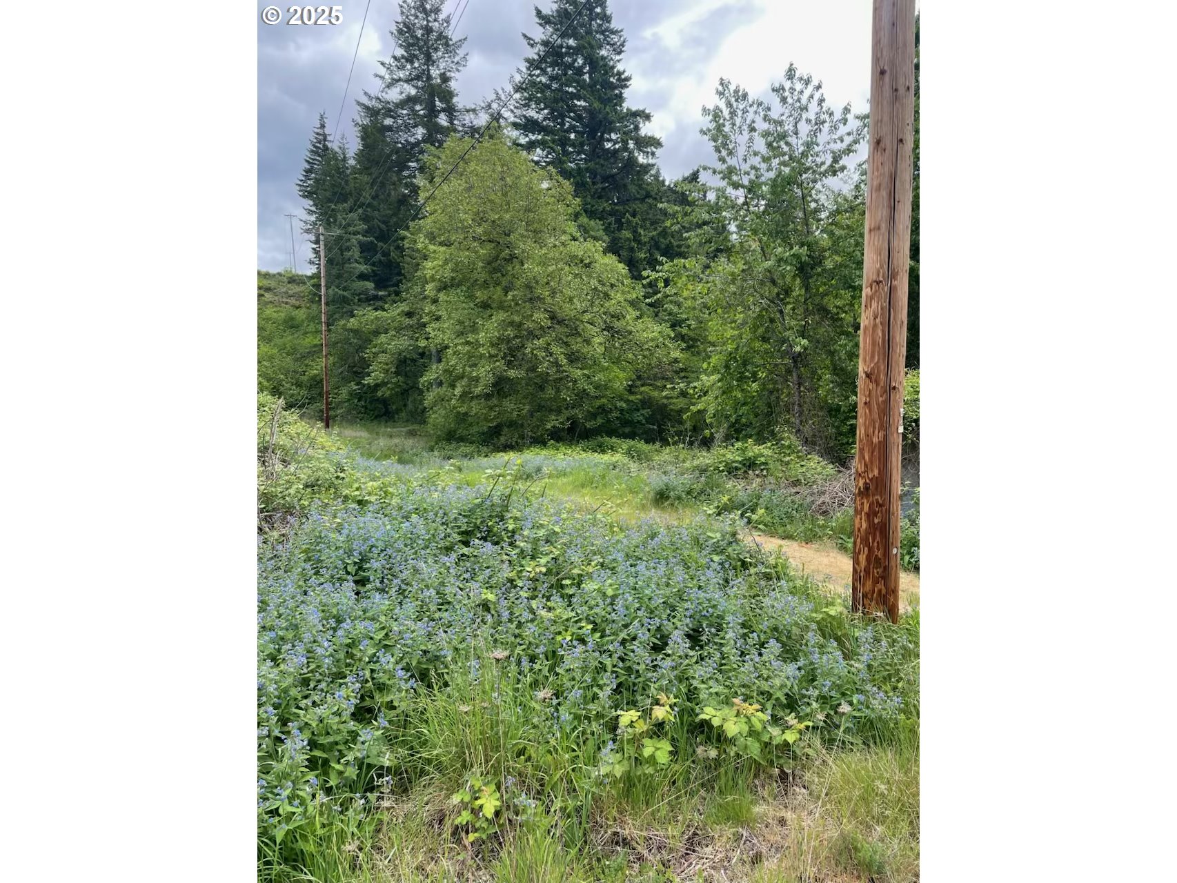 Carson Depot Road Carson, WA 98610 - Photo 4 of 9