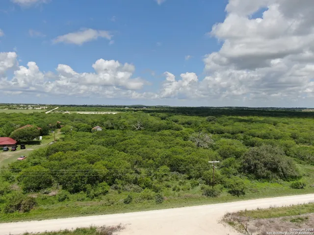 a view of a bunch of trees in a field