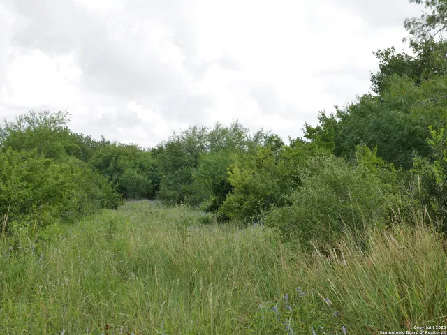 a view of a lush green space with sea
