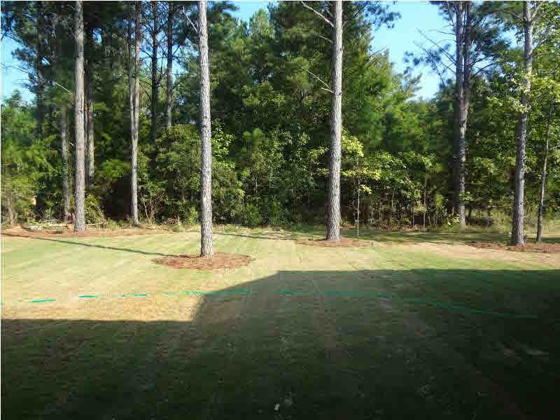100 Hampton Place Madison, MS 39110 - Photo 16 of 19 Photo 16