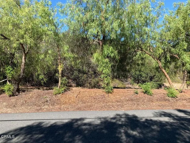 a view of a dirt road with trees in the background