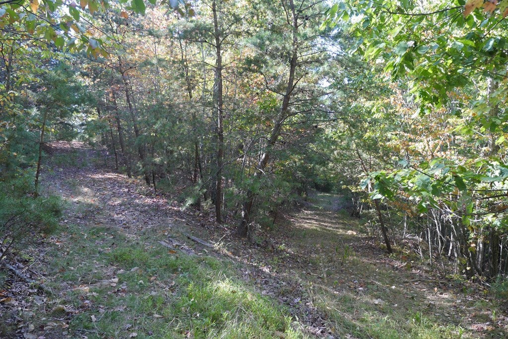 Tbd Hall Hollow Road, Unit 1 Austinville, VA 24312 - Photo 43 of 76 Gallery Image 43