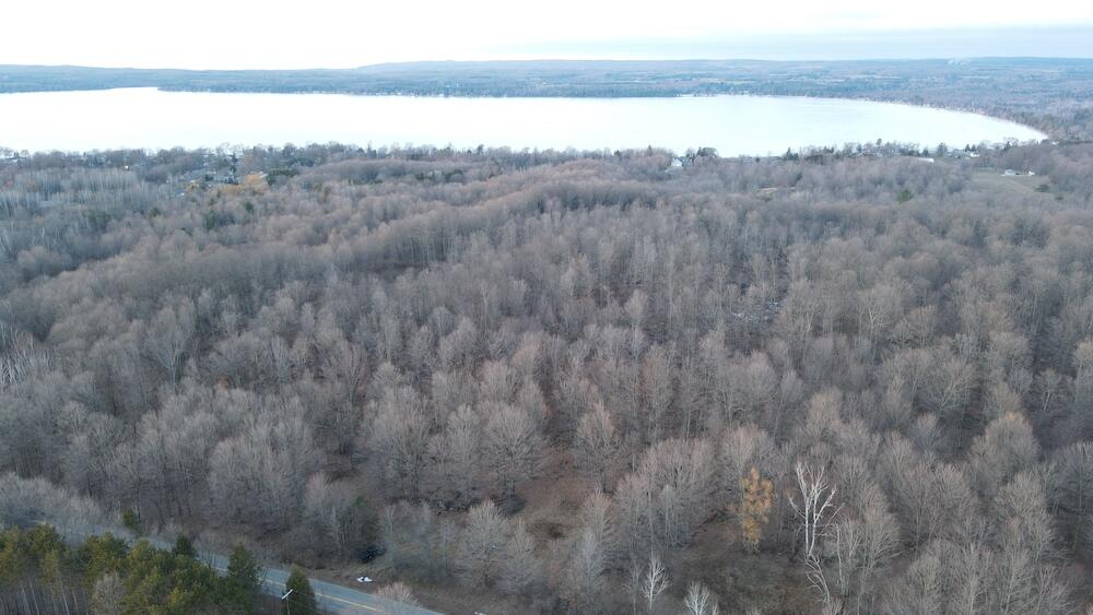 Potter Road Bear Lake, MI 49614 - Photo 11 of 37 DJI_0784