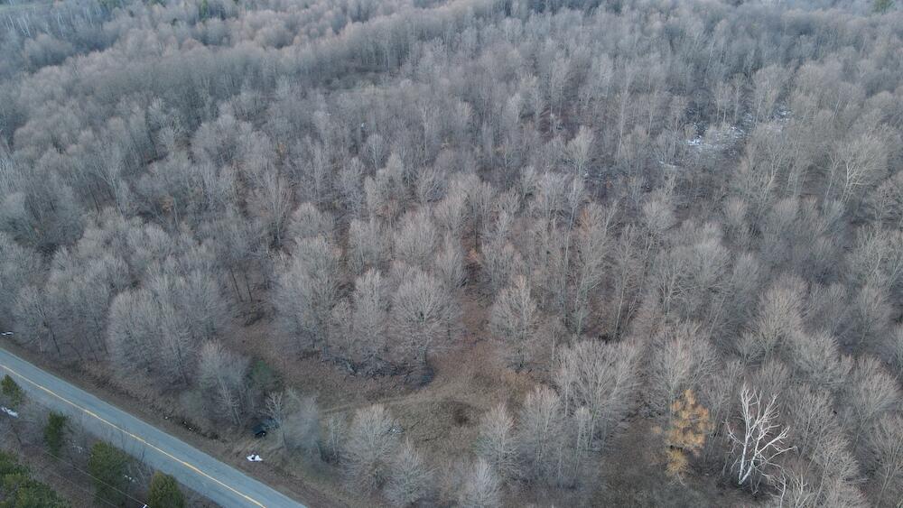 Potter Road Bear Lake, MI 49614 - Photo 12 of 37 DJI_0786