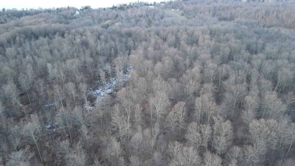 Potter Road Bear Lake, MI 49614 - Photo 14 of 37 DJI_0789